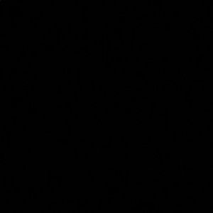 Meet your Posher, Hector